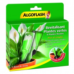Monodose revitalisante plantes vertes & plantes fleuries  - 30ml - 5 doses