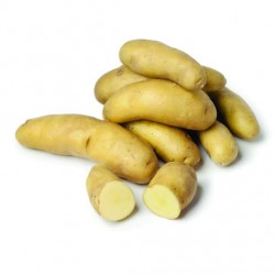 Pommes de terre ratte