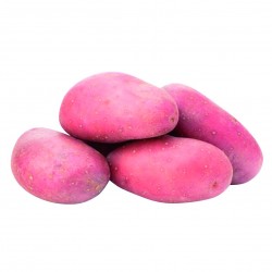 Pommes de terre rosabelle