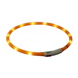 Collier flash anneau lumineux USB pour chien 70 cm