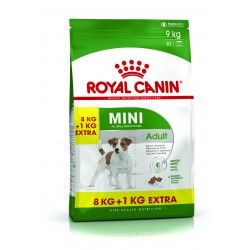 Royal Canin - Mini Adult 8+ - Croquettes chien - 8 kg + 1 kg offerts