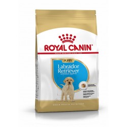Royal Canin - Labrador Retriever Junior - Croquettes chiot - 12 kg