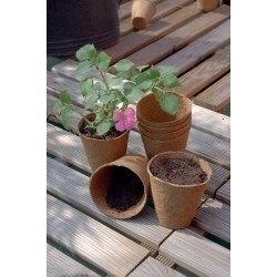 24 pots ronds 100% biodégradables Growing potmarron ø 6cm