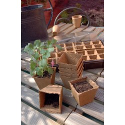 20 pots carrés 100% biodégradables Growing potmarron 6x6cm